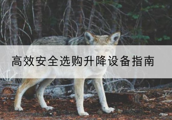 秦皇岛升降货梯厂家推荐-*安全选购升降设备指南