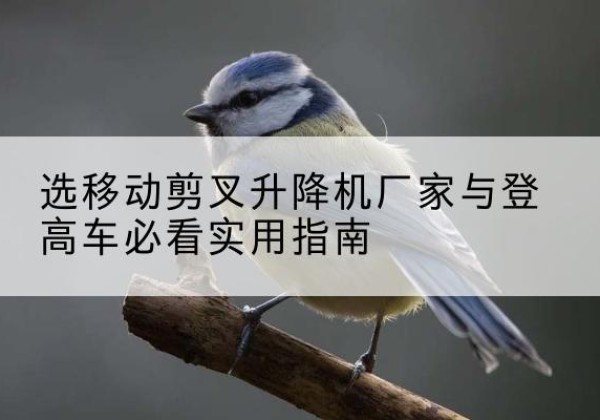 秦皇岛电动升降机厂家-选移动剪叉升降机厂家与登高车必看实用指南